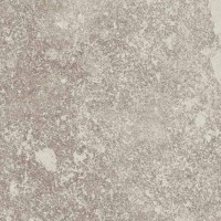 Castelvetro Always Grigio 60x60