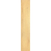 Gelasta Purio 1041