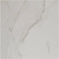 Genus 60x60cm bianco Gerectificeerd