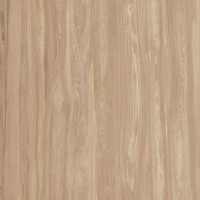 Padana Class Wood - Class Brown 60x120