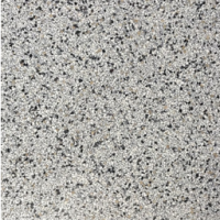 Terrazzo treviso 40x40