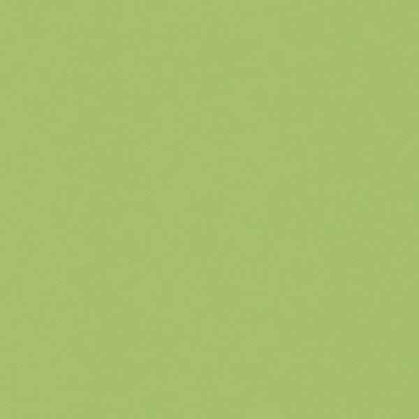 Padana Architecture - Acid Green 60x120