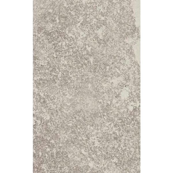 Castelvetro Always Grigio 60x120