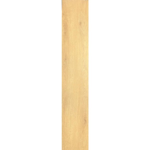 Gelasta Purio 1041
