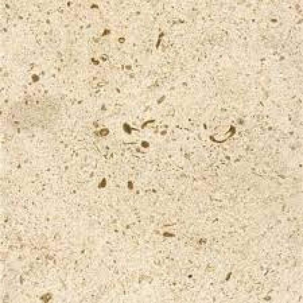 Royale Poli Beige 30x60